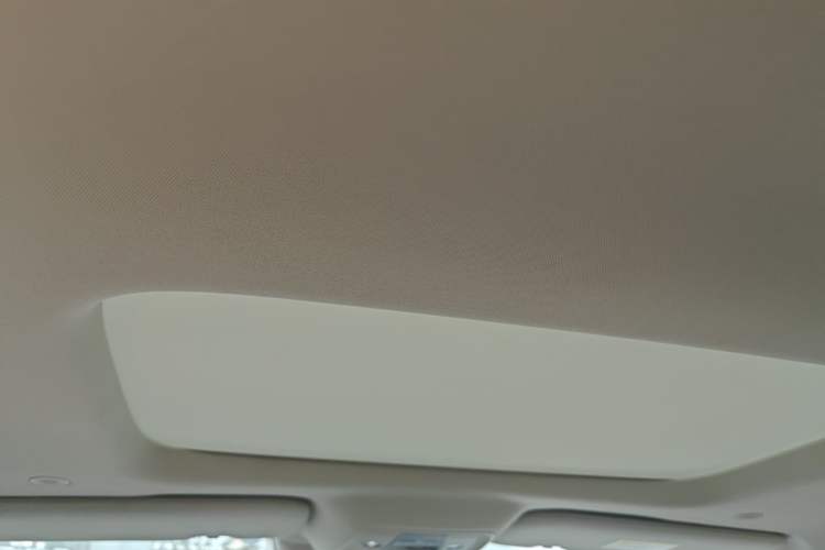 Used Denza D9 2024 DM-i 970 Luxury Model Headliner