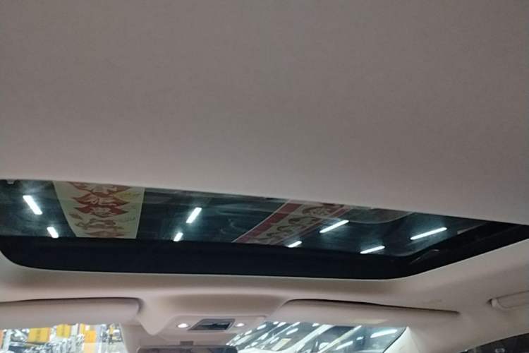Used Denza D9 2024 DM-i 980 Four-Wheel Drive Prestige Model Headliner