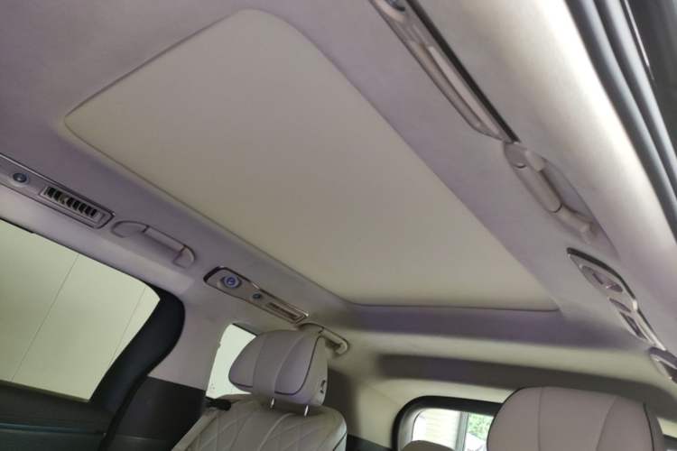 Used Denza D9 2024 DM-i 980 Four-Wheel Drive Flagship Model Headliner