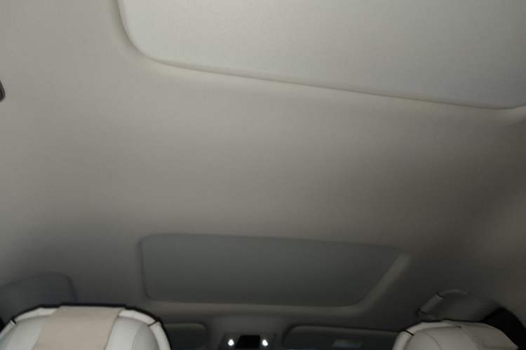 Used Denza D9 2024 DM-i 980 Four-Wheel Drive Prestige Model Headliner