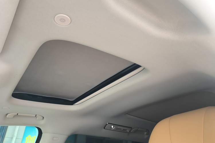 Used Denza D9 2024 DM-i 980 Four-Wheel Drive Prestige Model Headliner