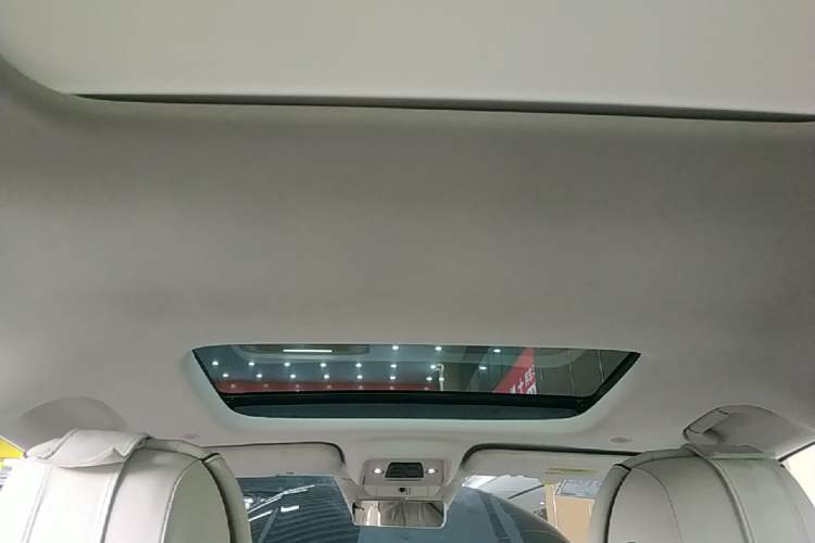 Used Denza D9 2024 DM-i 980 Four-Wheel Drive Flagship Model Headliner