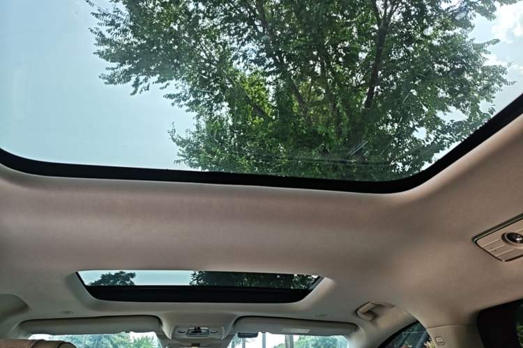 Used Denza D9 2024 DM-i 1050 Luxury Model Headliner