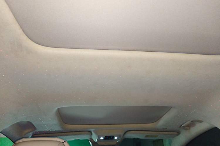Used Denza D9 2024 DM-i 980 Four-Wheel Drive Flagship Model Headliner