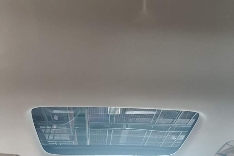 Used Denza D9 2024 DM-i 980 Four-Wheel Drive Prestige Model Headliner