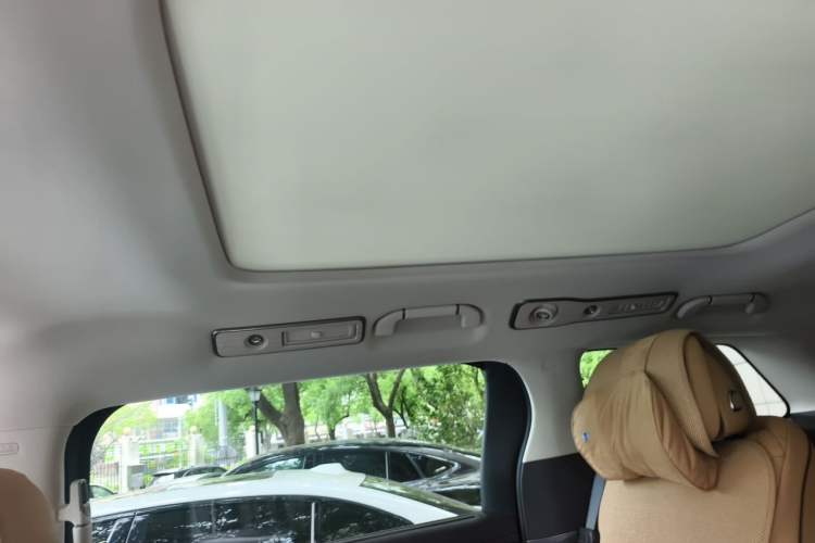 Used Denza D9 2024 DM-i 980 Four-Wheel Drive Prestige Model Headliner