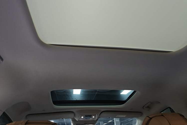 Used Denza D9 2024 DM-i 980 Four-Wheel Drive Flagship Model Headliner