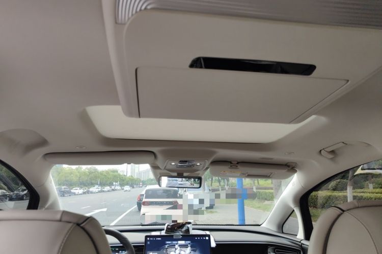 Used Denza D9 2024 DM-i 980 Four-Wheel Drive Prestige Model Headliner