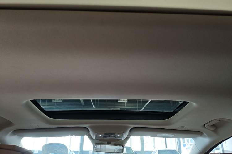 Used Denza D9 2024 DM-i 980 Four-Wheel Drive Prestige Model Headliner