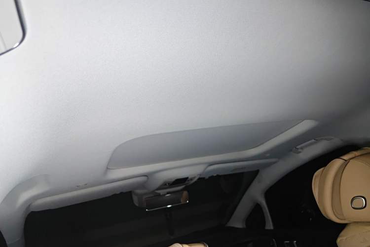 Used Denza D9 2024 DM-i 980 Four-Wheel Drive Prestige Model Headliner