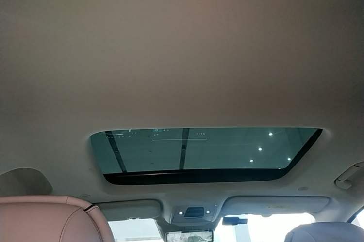 Used Denza D9 2024 DM-i 980 Four-Wheel Drive Prestige Model Headliner