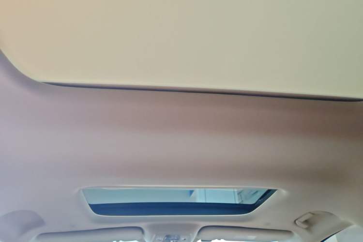 Used Denza D9 2024 DM-i 980 Four-Wheel Drive Prestige Model Headliner