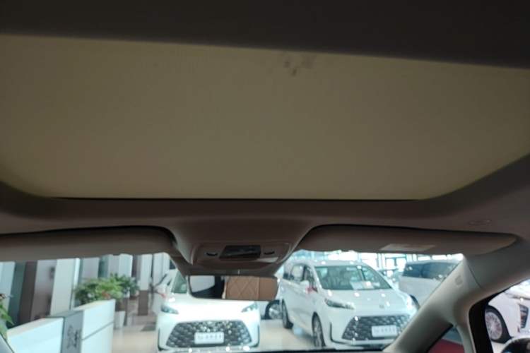 Used Denza D9 2024 DM-i 1050 Luxury Model Headliner