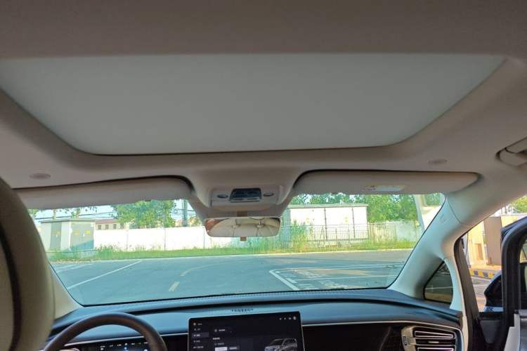Used Denza D9 2024 DM-i 980 Four-Wheel Drive Prestige Model Headliner