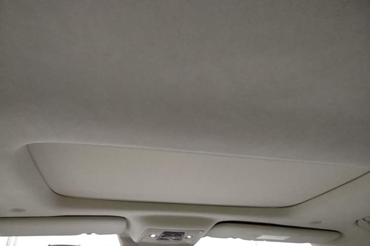 Used Denza D9 2024 DM-i 980 Four-Wheel Drive Flagship Model Headliner