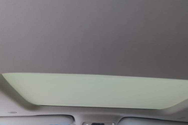 Used Denza D9 2024 DM-i 980 Four-Wheel Drive Prestige Model Headliner