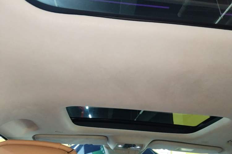 Used Denza D9 2024 DM-i 980 Four-Wheel Drive Flagship Model Headliner