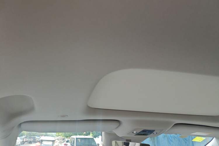 Used Denza D9 2024 DM-i 980 Four-Wheel Drive Prestige Model Headliner
