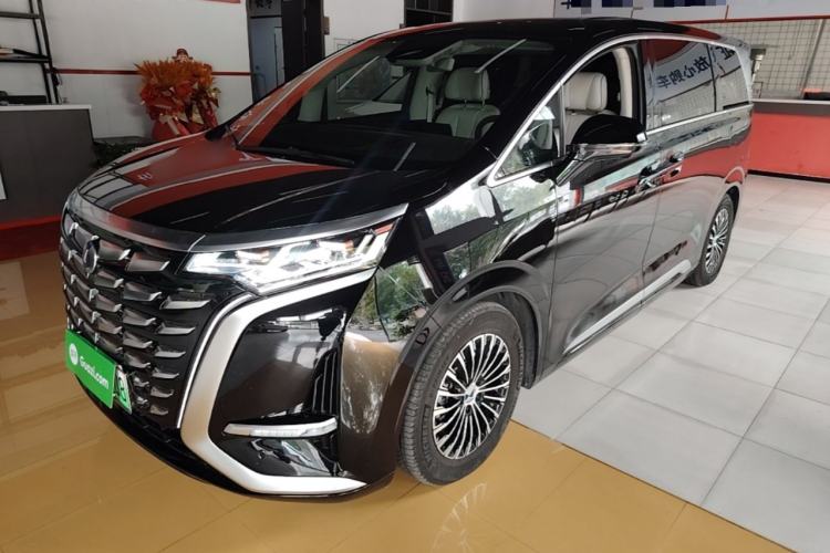 Denza D9 2024 DM-i 980 Four-Wheel Drive Prestige Model - Executive