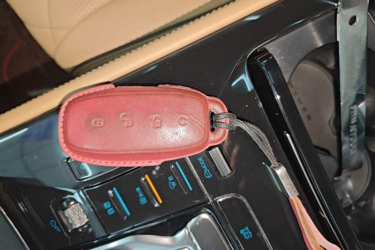 Used Denza D9 2024 DM-i 980 Four-Wheel Drive Prestige Model Interior 1