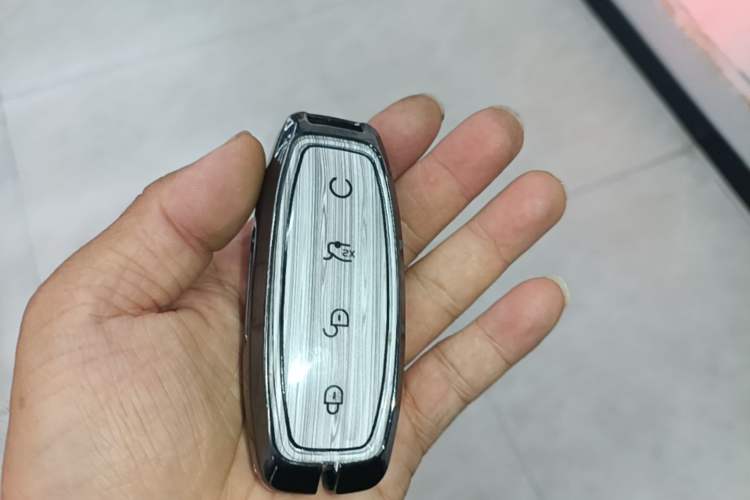 Used Denza D9 2024 DM-i 980 Four-Wheel Drive Prestige Model Interior 1