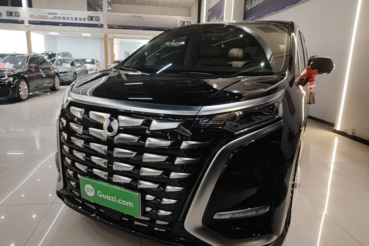 Denza D9 2024 DM-i 980 Four-Wheel Drive Prestige Model - Executive