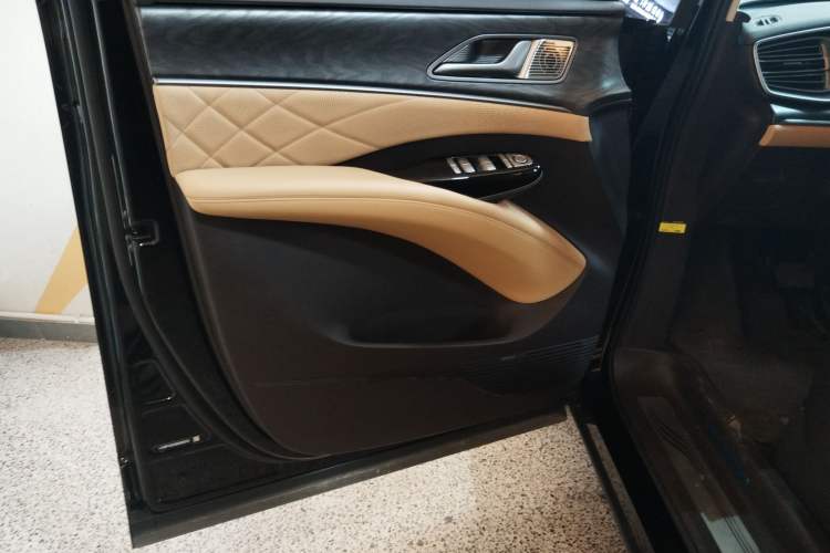 Used Denza D9 2024 EV 600 Four-Wheel Drive Prestige Model Left Front Door Interior