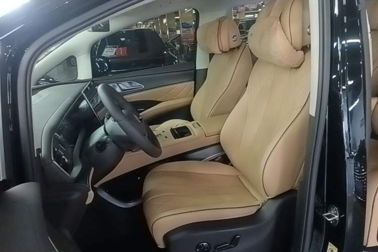 Used Denza D9 2024 DM-i 980 Four-Wheel Drive Prestige Model Left Front Seat