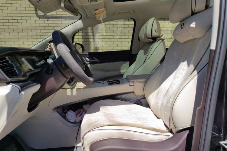 Used Denza D9 2024 DM-i 980 Four-Wheel Drive Prestige Model Left Front Seat