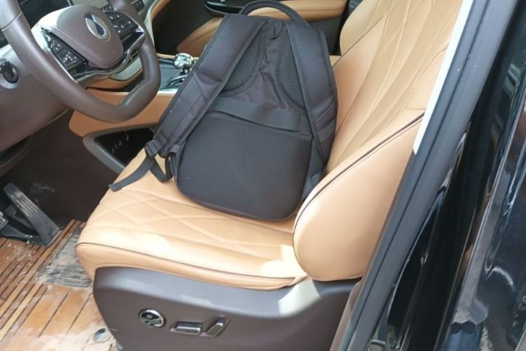 Used Denza D9 2024 DM-i 1050 Luxury Model Left Front Seat