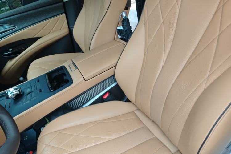 Used Denza D9 2024 DM-i 980 Four-Wheel Drive Prestige Model Left Front Seat