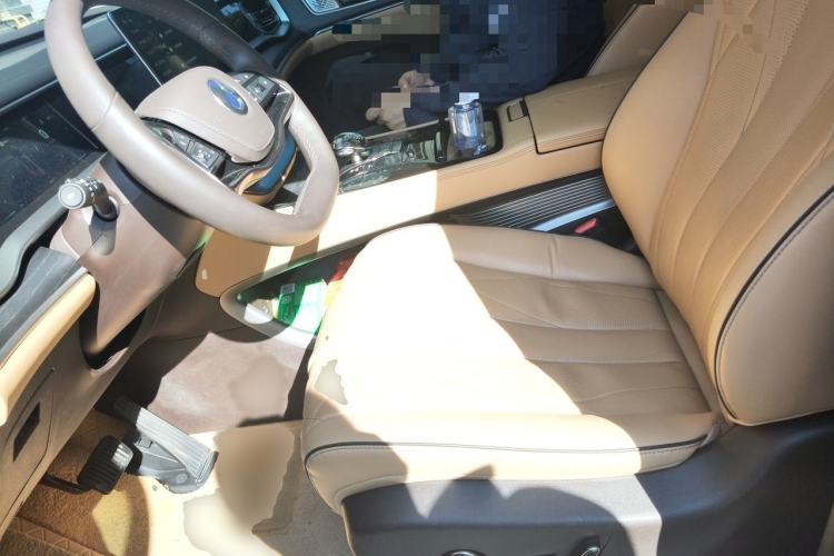 Used Denza D9 2024 DM-i 980 Four-Wheel Drive Prestige Model Left Front Seat