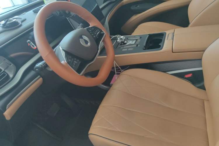 Used Denza D9 2024 DM-i 980 Four-Wheel Drive Prestige Model Left Front Seat