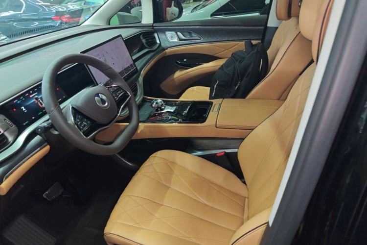 Used Denza D9 2024 DM-i 980 Four-Wheel Drive Prestige Model Left Front Seat