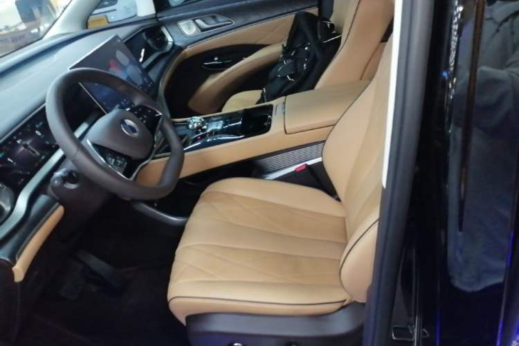 Used Denza D9 2024 DM-i 980 Four-Wheel Drive Prestige Model Left Front Seat