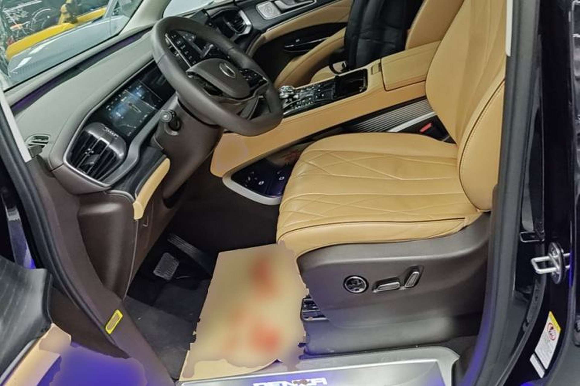Used Denza D9 2024 DM-i 980 Four-Wheel Drive Prestige Model Left Front Seat