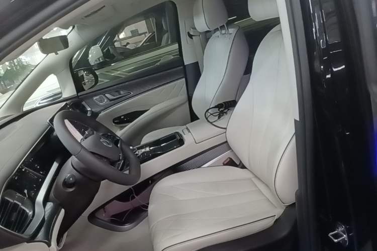 Used Denza D9 2024 DM-i 1050 Luxury Model Left Front Seat