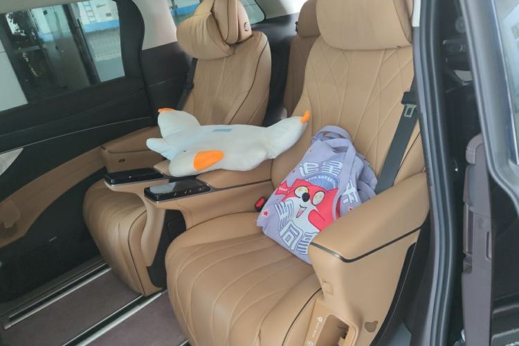Used Denza D9 2024 DM-i 980 Four-Wheel Drive Prestige Model Left Rear Seat