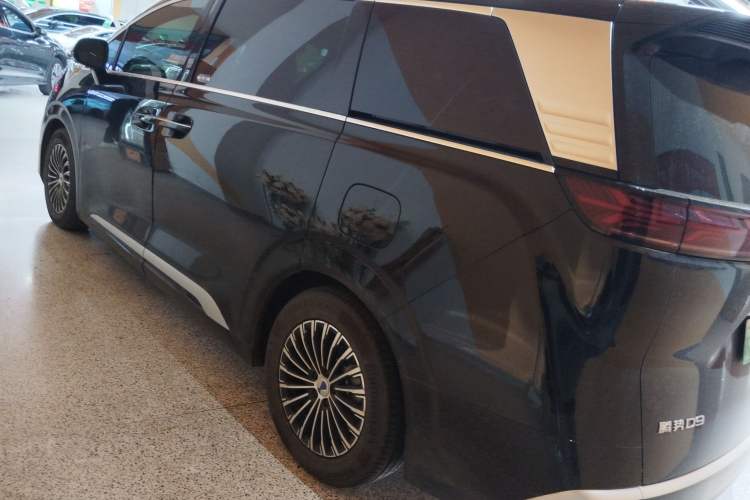 Used Denza D9 2024 EV 600 Four-Wheel Drive Prestige Model Left Side