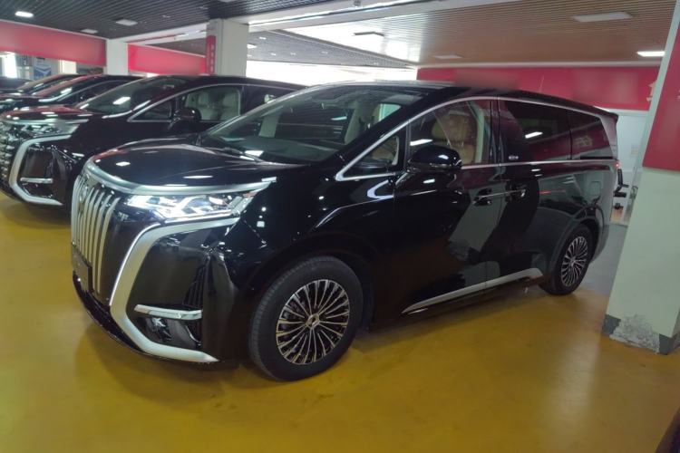 Used Denza D9 2024 EV 600 Four-Wheel-Drive Flagship Model Left Side