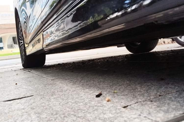 Used Denza D9 2024 DM-i 980 Four-Wheel Drive Prestige Model Left Side Sill