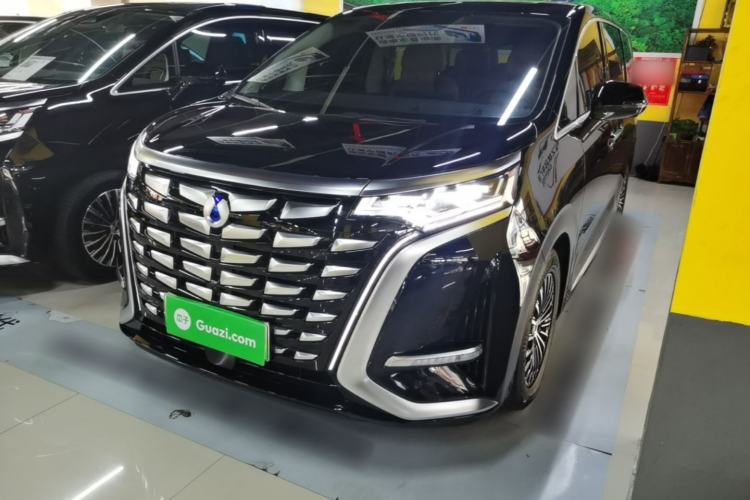 Denza D9 2024 DM-i 980 Four-Wheel Drive Prestige Model - Executive