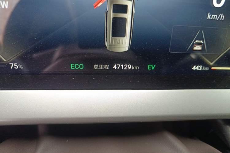 Used Denza D9 2024 DM-i 980 Four-Wheel Drive Prestige Model Odometer Close Up
