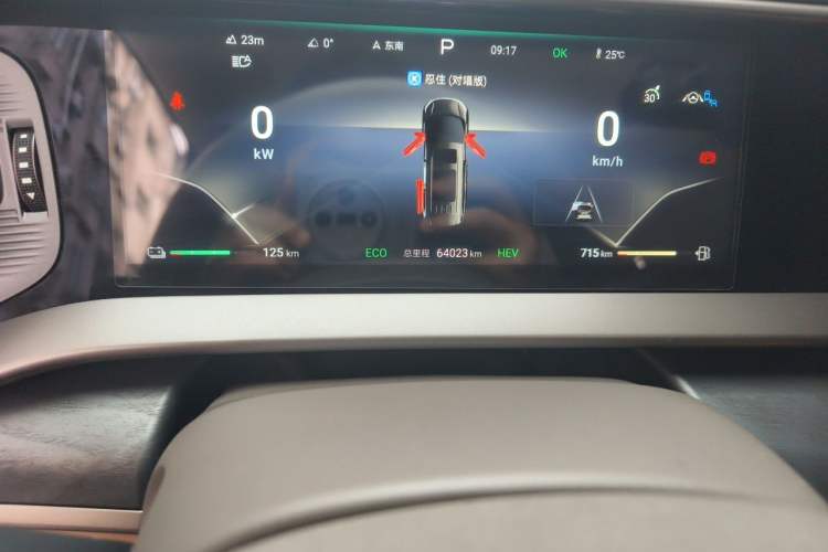 Used Denza D9 2024 DM-i 1050 Luxury Model Odometer Close Up
