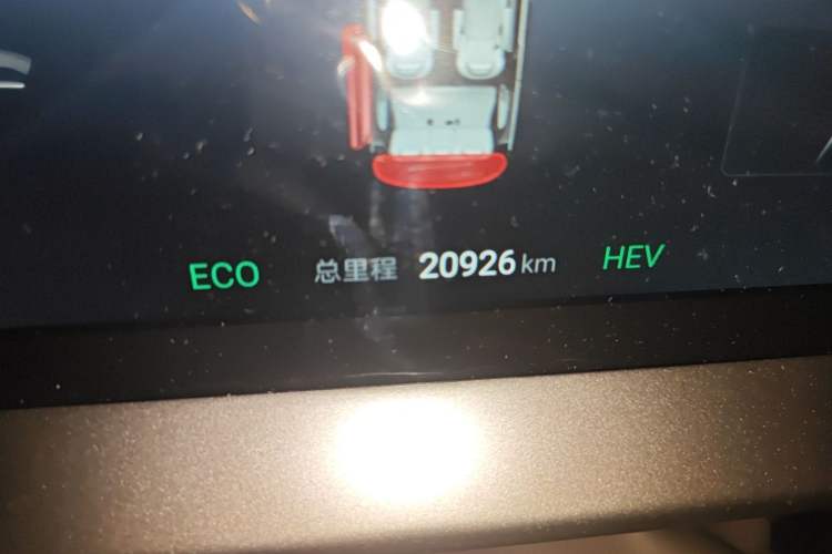 Used Denza D9 2024 DM-i 980 Four-Wheel Drive Prestige Model Odometer Close Up