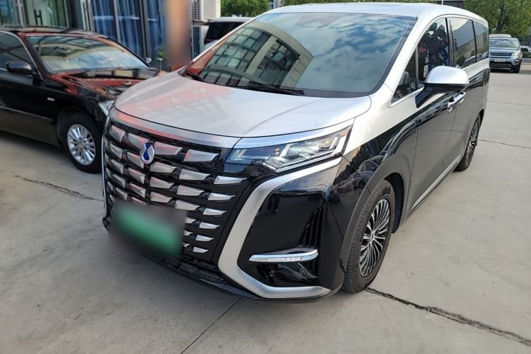 Denza D9 2024 DM-i 1050 Luxury Model