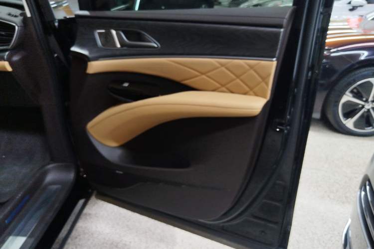 Used Denza D9 2024 EV 600 Four-Wheel Drive Prestige Model Right Front Door Interior