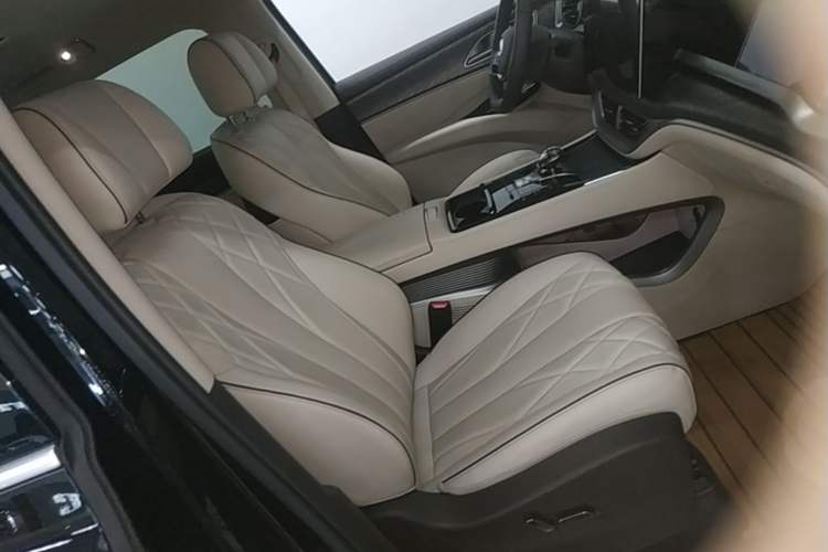 Used Denza D9 2024 DM-i 970 Luxury Model Right Front Seat