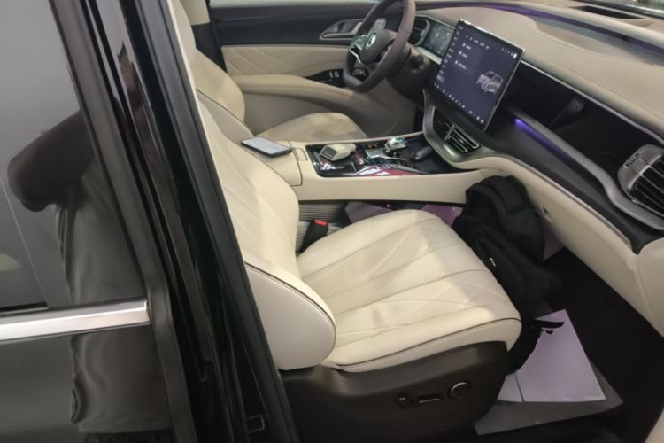 Used Denza D9 2024 DM-i 980 Four-Wheel Drive Prestige Model Right Front Seat