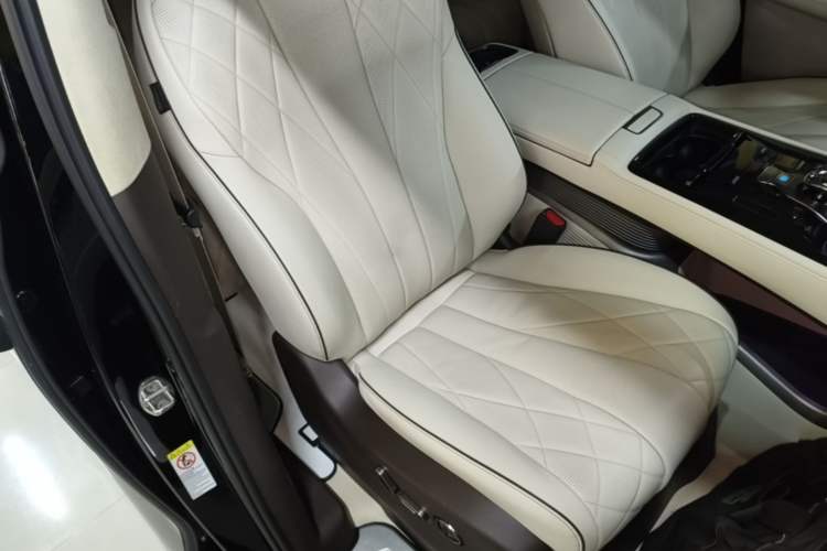 Used Denza D9 2024 DM-i 980 Four-Wheel Drive Flagship Model Right Front Seat